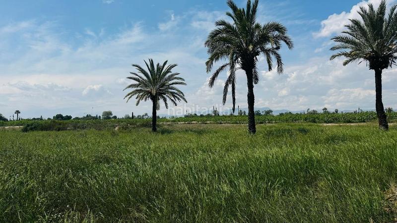 Foto a3a93316-cca0-44ae-b267-3bb53aa7206e. Finca rústica a La Foia - Daimés - Asprella Elche / Elx