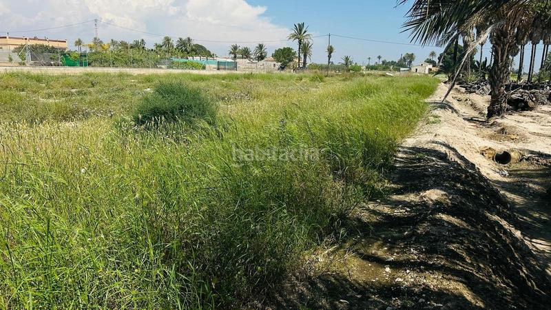 Foto a4bba864-0efe-498f-95c5-ebc782371fd4. Finca rústica a La Foia - Daimés - Asprella Elche / Elx