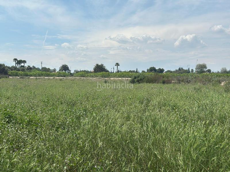 Foto ab922886-d4f2-4feb-b116-2a4a35159d12. Finca rústica a La Foia - Daimés - Asprella Elche / Elx