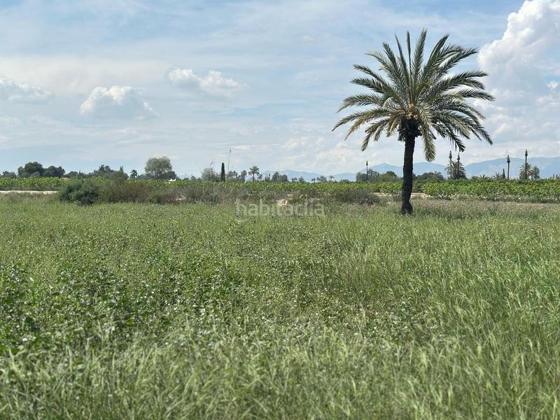 Foto f100af55-7597-4cf6-bb74-3c30a30541f3. Finca rústica a La Foia - Daimés - Asprella Elche / Elx