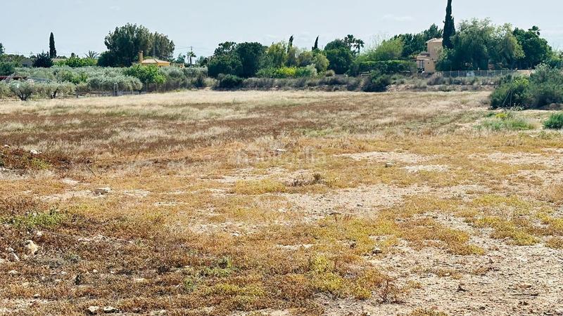 Foto 60c36a7c-8bc9-4b2a-8856-d346369dadf0. Fondo rustico in Perleta - Maitino Elche / Elx