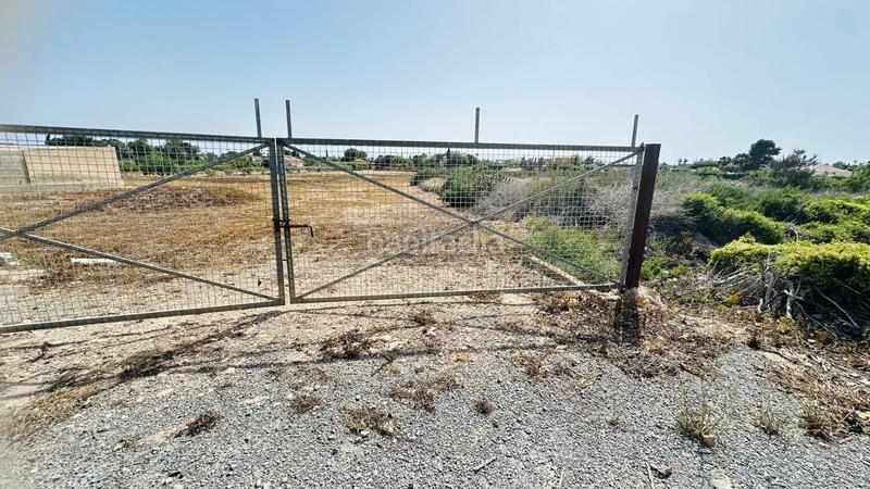 Foto a18c7080-959f-4a89-b6c9-9dc256c59e56. Fondo rustico in Perleta - Maitino Elche / Elx