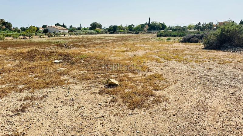 Foto bcb3fc2d-984f-45e3-823a-c1451800c629. Fondo rustico in Perleta - Maitino Elche / Elx