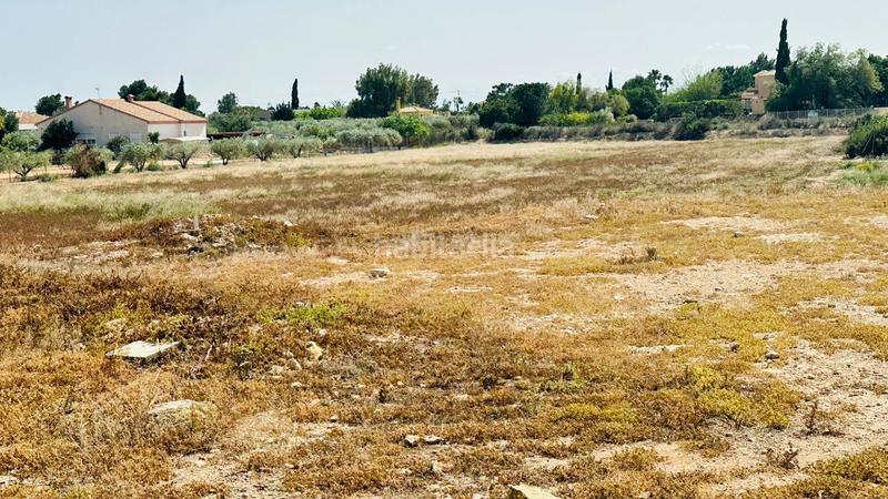 Foto c7bd377f-3b40-4291-8751-2f9ac41139b3. Fondo rustico in Perleta - Maitino Elche / Elx
