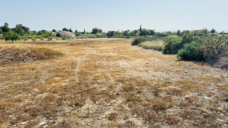 Foto d0619eed-873b-4207-9f12-08a2ee5e3c27. Fondo rustico in Perleta - Maitino Elche / Elx