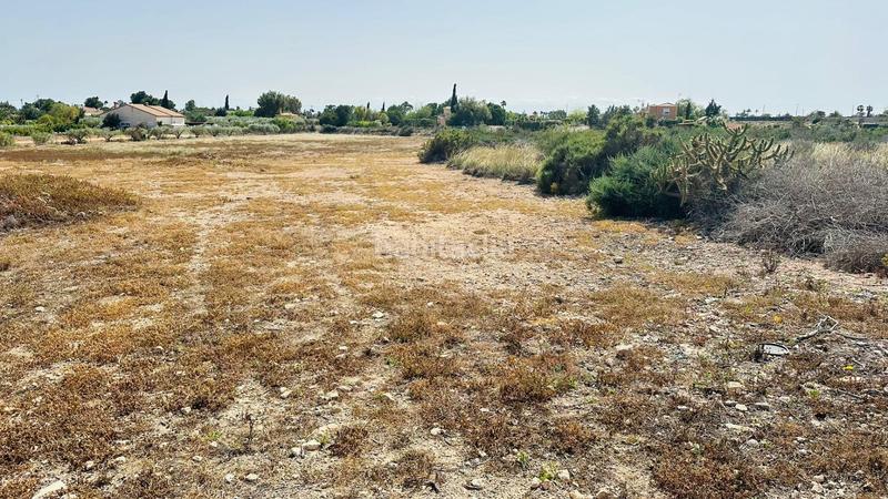 Foto e150f007-02ad-4d66-aec5-390760f324f7. Fondo rustico in Perleta - Maitino Elche / Elx