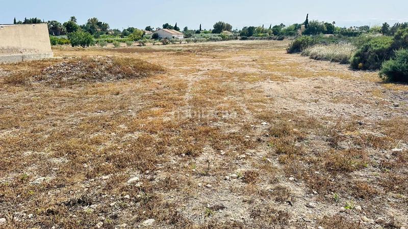 Foto f8b16659-3833-49e0-8175-36c87f09957b. Fondo rustico in Perleta - Maitino Elche / Elx