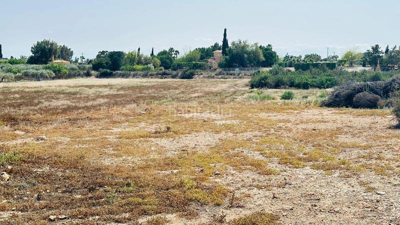 Foto f8d516c0-e9c0-48aa-97a8-40b0ac1979c2. Fondo rustico in Perleta - Maitino Elche / Elx