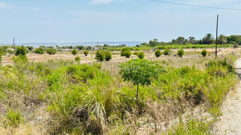 Foto 0e169c82-5954-4381-abab-3ff62586342d. Finca rústica a La Marina Elche / Elx