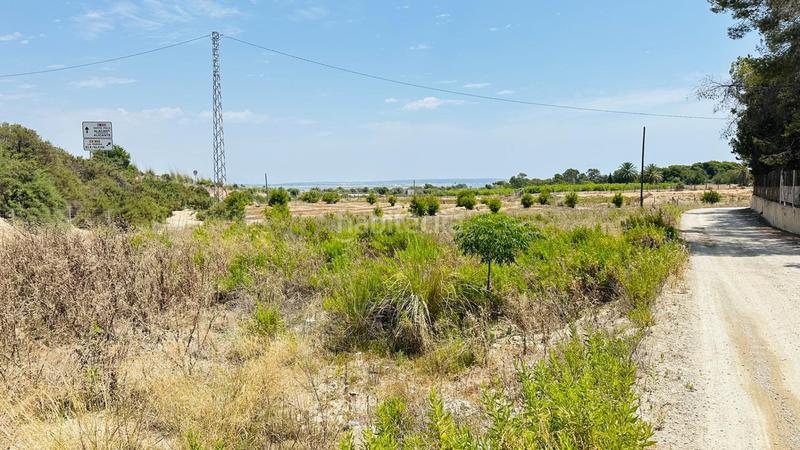 Foto 1169b43f-60b4-4235-925c-3932d8233e29. Finca rústica a La Marina Elche / Elx