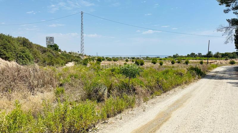 Foto 19f89326-7e50-44f9-a946-d425bb2d40a3. Finca rústica a La Marina Elche / Elx