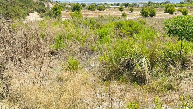 Foto 1b425aef-485a-49b5-949c-6ca84ab14280. Finca rústica a La Marina Elche / Elx