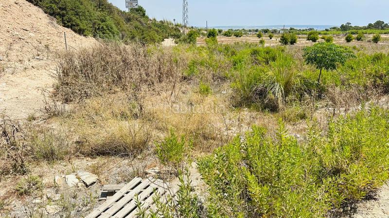 Foto 3da111f5-3698-46a2-ad86-555eceffe3dc. Finca rústica a La Marina Elche / Elx