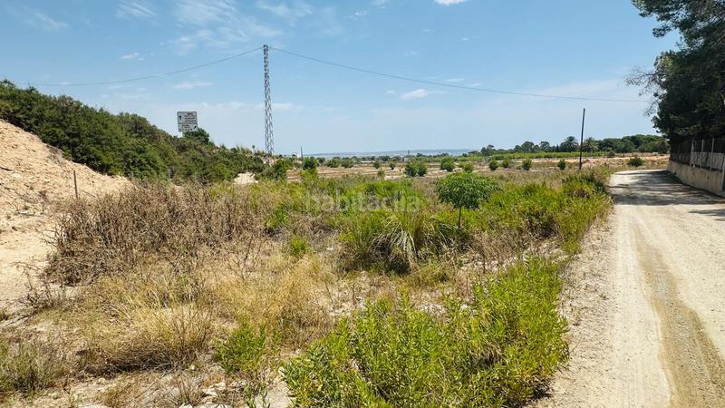 Foto 41b4fe0f-2f89-496e-acb8-43ba7a384465. Finca rústica a La Marina Elche / Elx