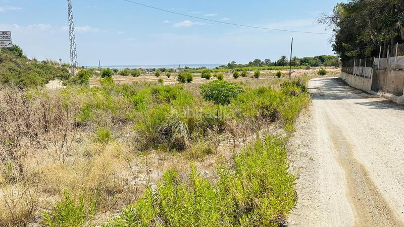 Foto 4542c28c-30a7-4219-810f-5fd90de16905. Finca rústica a La Marina Elche / Elx