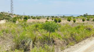 Finca rústica a La Marina. Terreno de 3.970 m en la marina  excelente ubicación