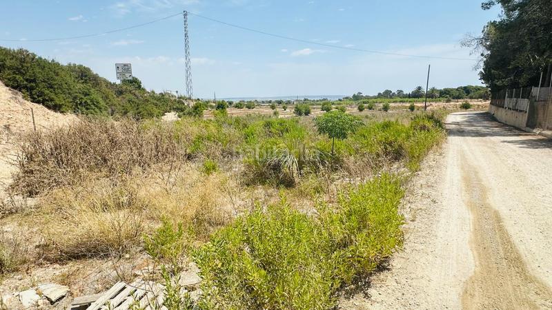 Foto 7a798b88-094c-4d34-afd8-a3e9cc3f1ec4. Finca rústica a La Marina Elche / Elx