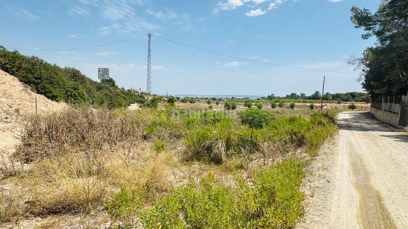 Foto 847893ea-51c7-4d1e-8577-326724899258. Finca rústica a La Marina Elche / Elx