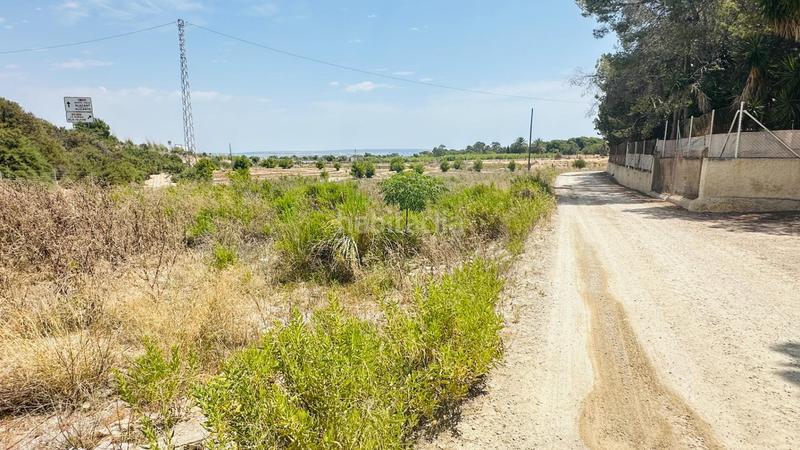 Foto 866c8d03-9075-4622-a4c6-fea7a39229b6. Finca rústica a La Marina Elche / Elx