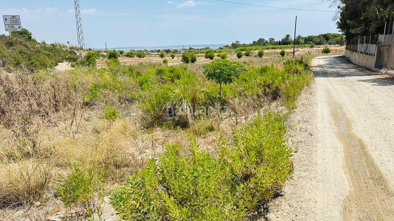 Foto 992e1130-e8cb-4435-aede-59748a8d59df. Finca rústica a La Marina Elche / Elx