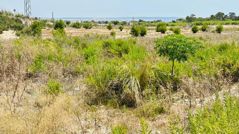 Foto b5be0234-5cc1-44be-a21b-5af090572cfe. Finca rústica a La Marina Elche / Elx