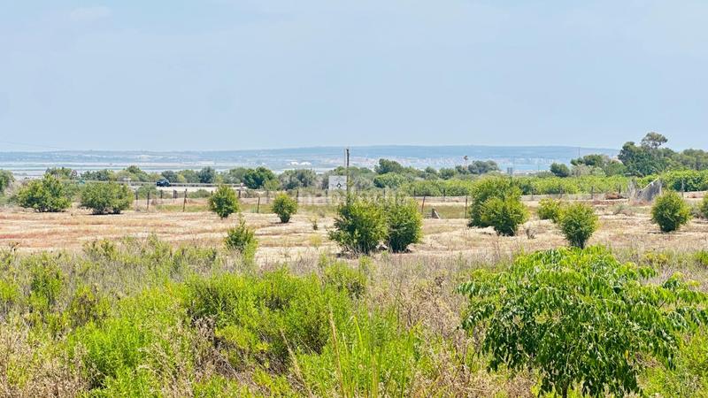 Foto b74909fb-ea13-4123-b508-95809f41275c. Finca rústica a La Marina Elche / Elx