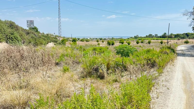 Foto c0f42a62-f88b-40fd-8ff2-98db34c4f37a. Finca rústica a La Marina Elche / Elx