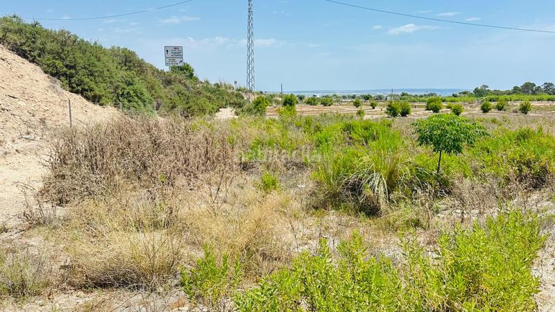 Foto cad8b812-9a06-4999-9425-e7e4ba89370f. Finca rústica a La Marina Elche / Elx