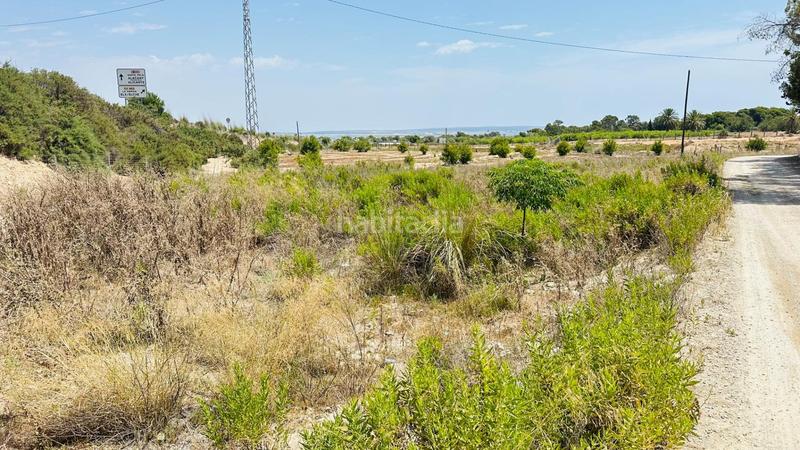 Foto cf69650a-c82e-42b5-86bd-6391c35a9042. Finca rústica a La Marina Elche / Elx