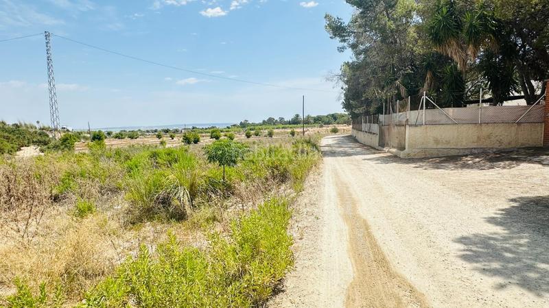 Foto e9ac4d43-c7af-4d59-8f91-79c45864a68f. Finca rústica a La Marina Elche / Elx