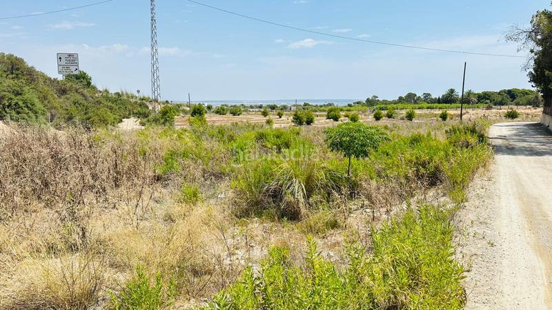 Foto f44be69d-8f75-4df1-ba8a-9f088b8625e2. Finca rústica a La Marina Elche / Elx