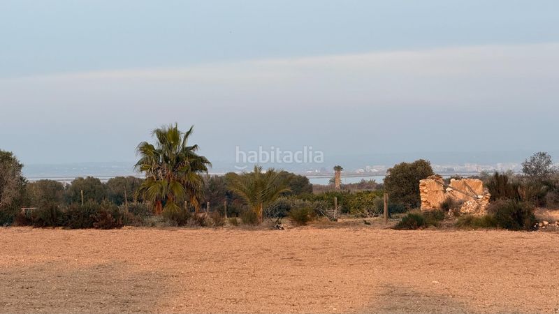 Foto 3e05eb56-2470-4a27-b880-3fb6f8ce4f1a. Finca rústica a La Marina Elche / Elx