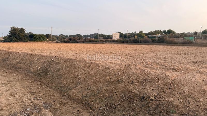 Foto 49a97dc0-b960-4e05-84cb-bed2cdc5229a. Finca rústica a La Marina Elche / Elx