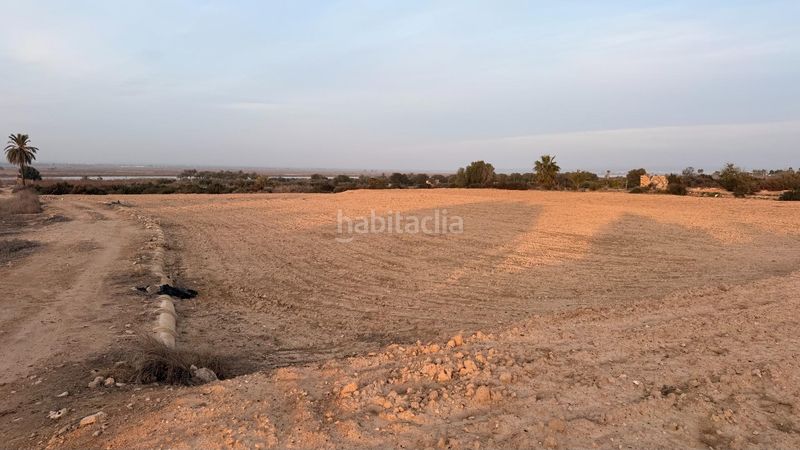 Foto 5ef7e8ed-8a19-4cf6-a5c4-fc0f8fb0ad65. Finca rústica a La Marina Elche / Elx