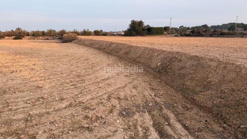 Foto 7b62e9f3-f842-46a5-9931-78df33d268e7. Finca rústica a La Marina Elche / Elx