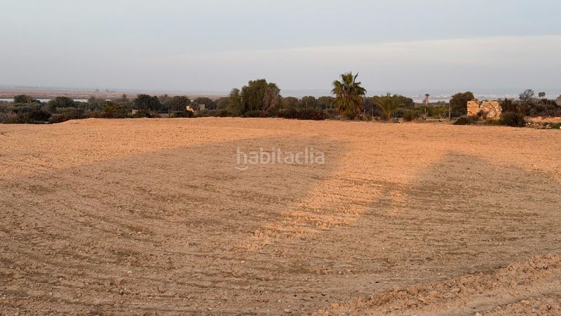 Foto 8462d3ea-ea38-4355-8894-eb7369b3ab4d. Finca rústica a La Marina Elche / Elx
