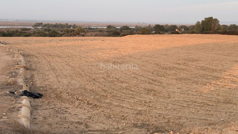 Foto 9240c34a-94b9-46c4-b91b-d903e4555b04. Finca rústica a La Marina Elche / Elx