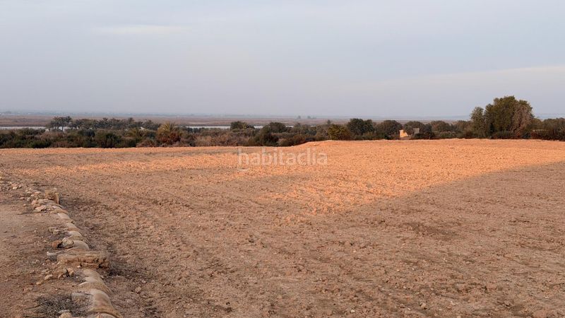 Foto a4c1a76c-d3b3-4d4c-960a-262fa6c398e3. Finca rústica a La Marina Elche / Elx