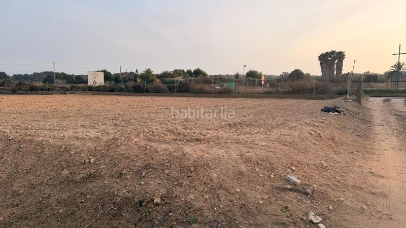 Foto b5c2294f-1138-4b7d-a0ab-3f7a5b6da629. Finca rústica a La Marina Elche / Elx