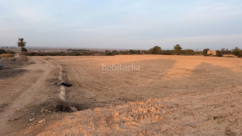 Foto c96a3f83-b06e-4ffb-9b06-b55b0e68934d. Finca rústica a La Marina Elche / Elx