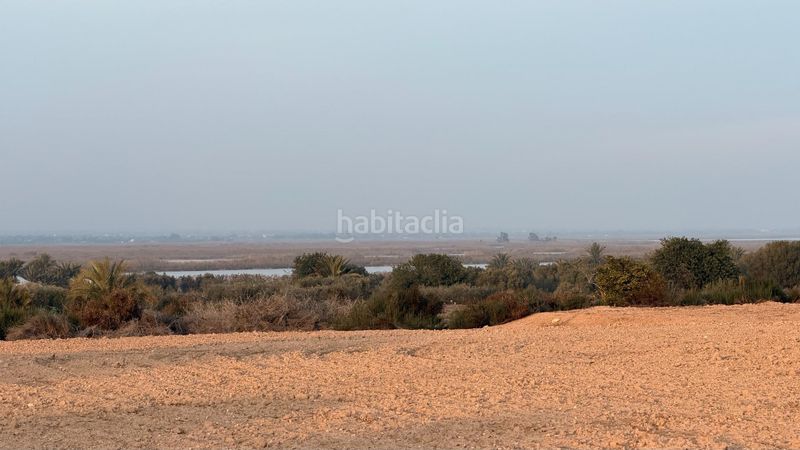 Foto d6c60f76-def5-484b-9cbc-cb24d716226e. Finca rústica a La Marina Elche / Elx