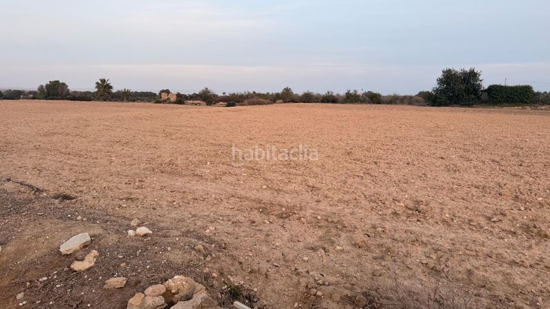 Foto d96d8999-dc19-4899-a364-1364189a2f0a. Finca rústica a La Marina Elche / Elx