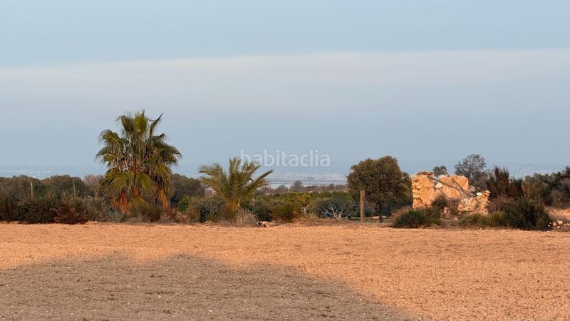 Foto db848ccb-2451-4f6a-a32b-36a51f946a68. Finca rústica a La Marina Elche / Elx