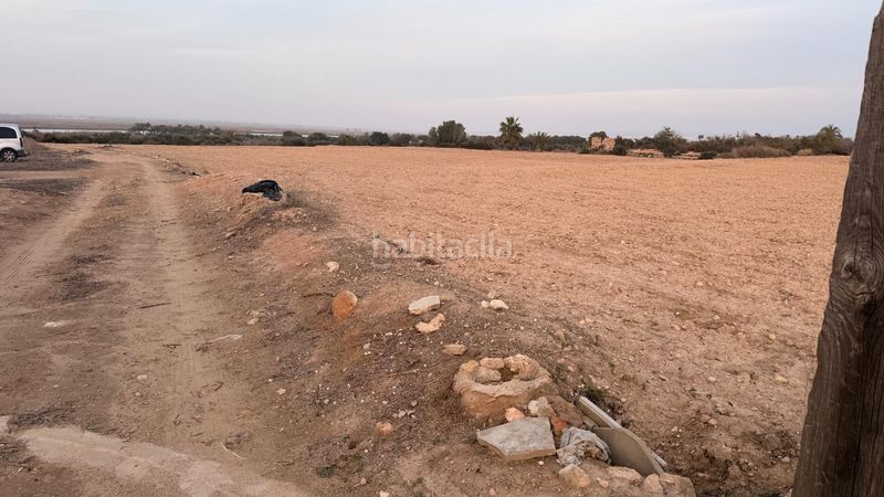 Foto e1a1ae28-3388-4a00-a00f-a02d00fcaf9b. Finca rústica a La Marina Elche / Elx