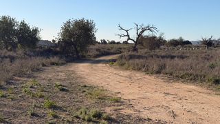 Terreny residencial a La Marina. Amplio terreno para dos viviendas en la marina  oportunidad inme