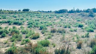 Residential Plot in Perleta - Maitino. Terreno de 12.000 m2 en perleta.