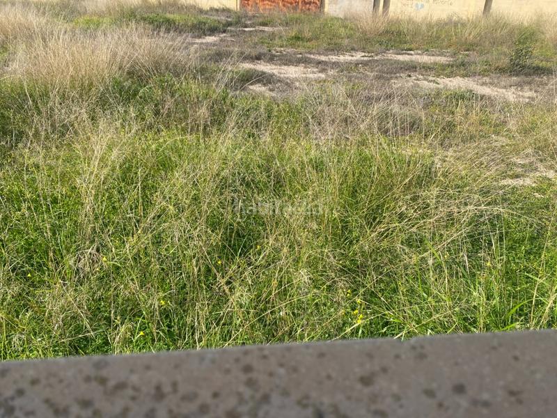 Foto 3b1f22f9-9647-4131-83ae-4860672543e7. Terreno residenziale in El Raval - Portes Encarnades Elche / Elx