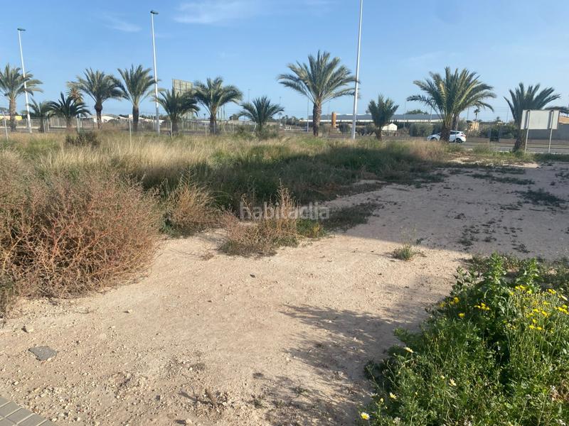 Foto 53355e28-52d1-4337-a2fa-10687e3683fe. Terreno residenziale in El Raval - Portes Encarnades Elche / Elx