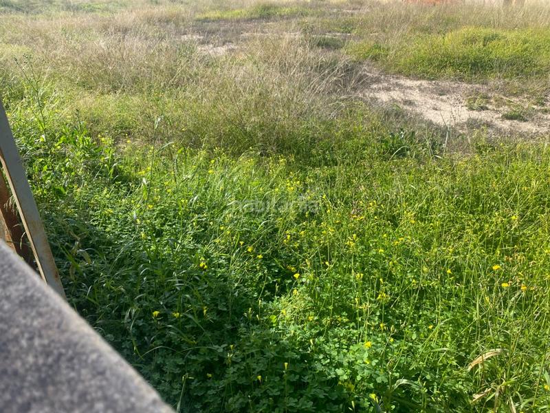 Foto 7cd87763-1b6e-4de3-a224-6bf30c1b83bf. Terreno residenziale in El Raval - Portes Encarnades Elche / Elx