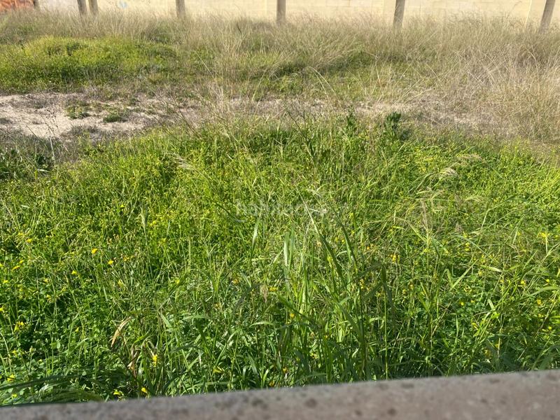 Foto e4dd015b-e2ba-4867-b415-1196307dae9f. Terreno residencial diseña tu vivienda!! en El Raval - Portes Encarnades Elche / Elx